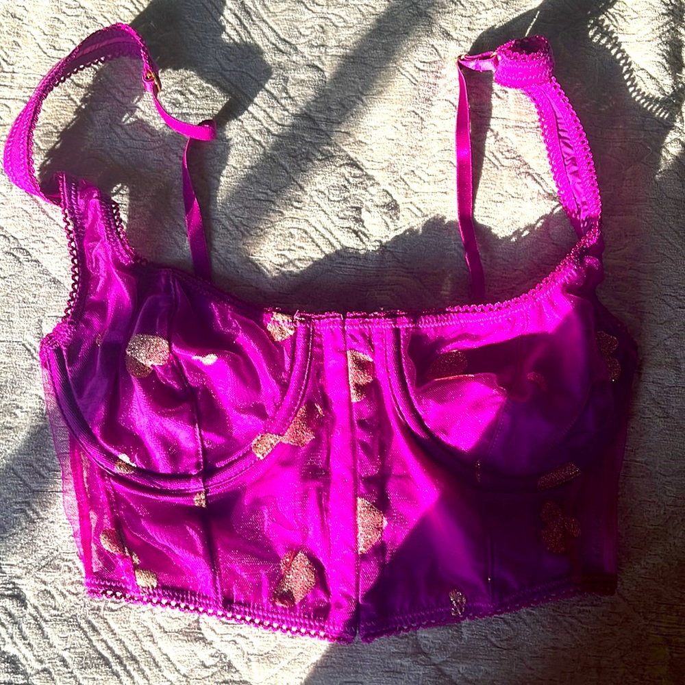 Urban Outfitters Corset Top (Size small)